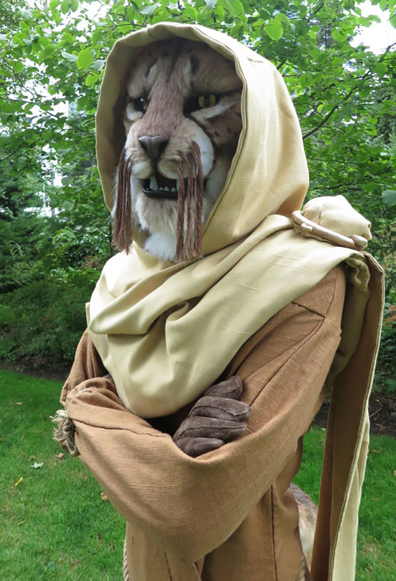Illustration for article titled Khajiit Has Cosplay If You Have Coin...